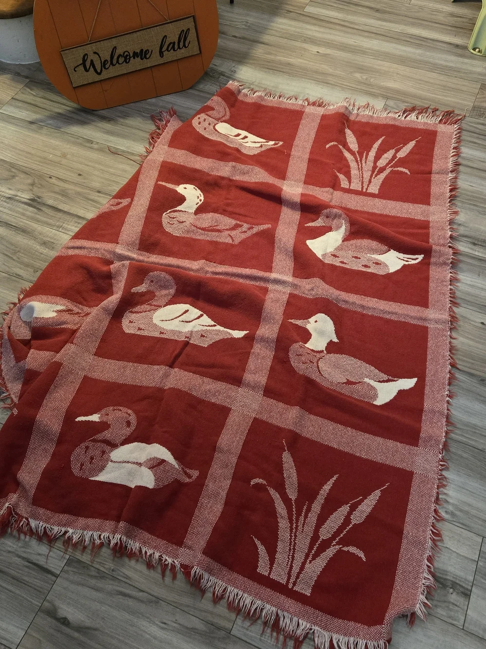 N/A soft red